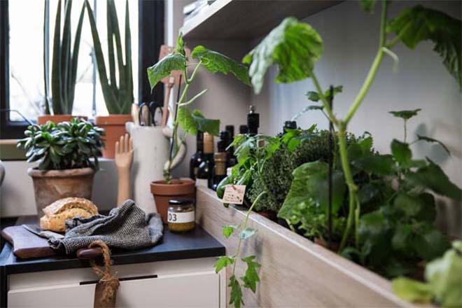 SieMatic Urban keuken met kruidenrekken en planten. #siematic #keuken #keukeninspiratie #planten #kruiden